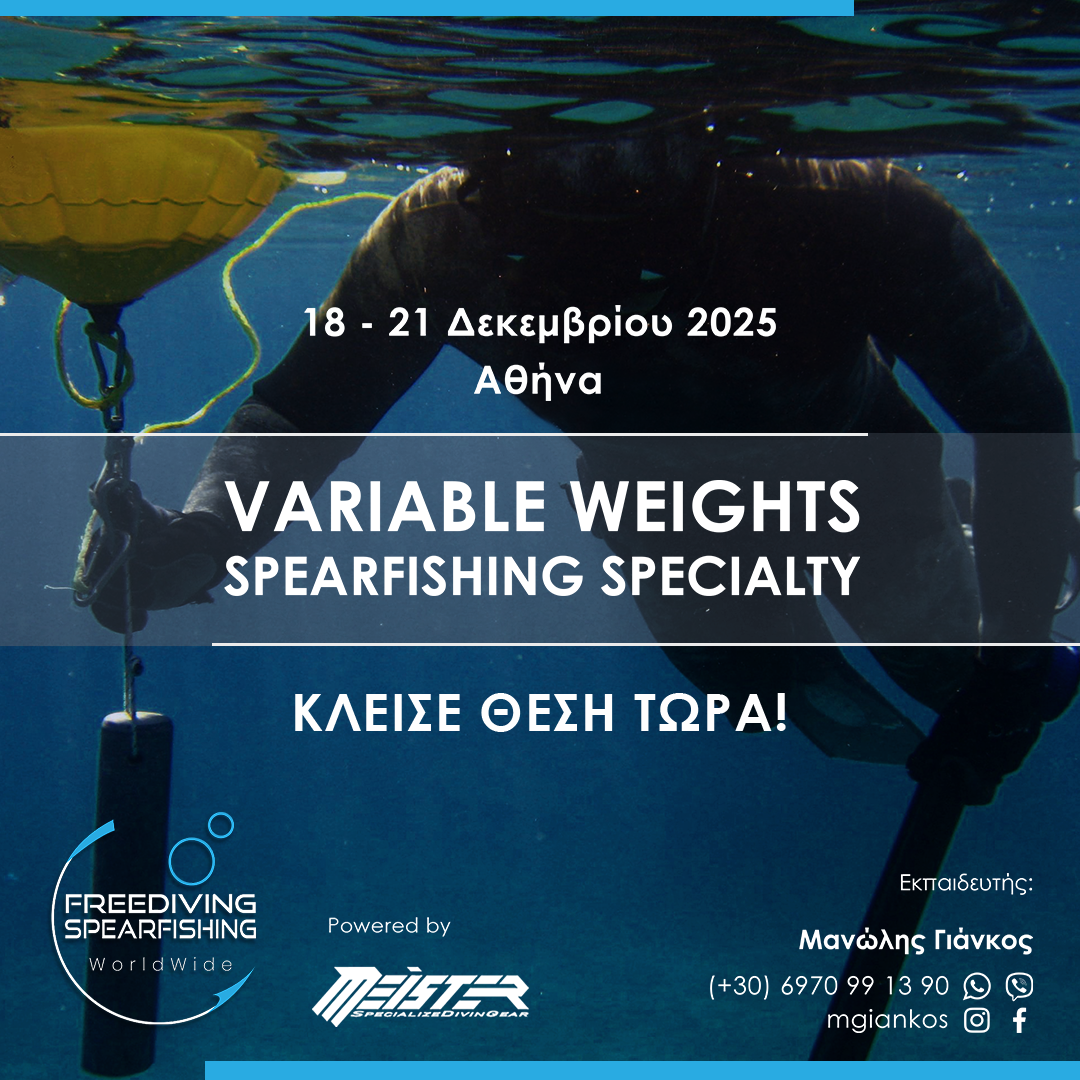 18-21-december-2025-variable-weights-spearfishing-specialty-instagram.png