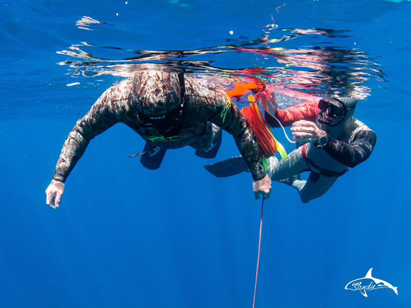 Freediving Instructor Level 1*