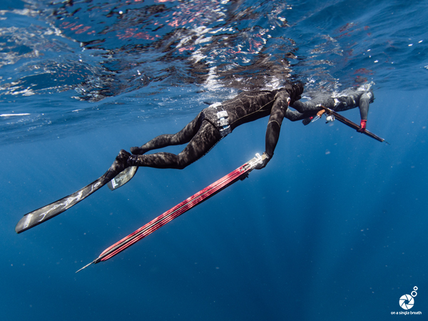 Spearfishing Instructor - Level 1*